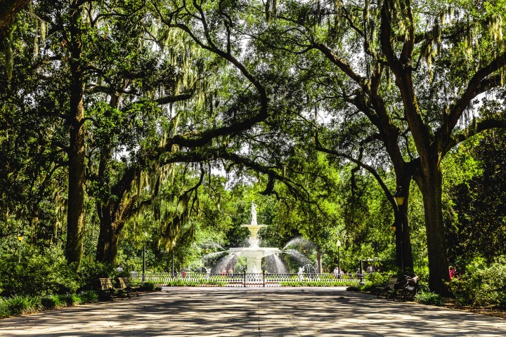 AGP Favorite, Forsyth Fountain, Georgia, North America, Savannah, Travel, United States, AGP, Alex G Perez, www.AGPfoto.com