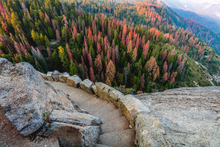 AGP Favorite, California, Fall Colors, North America, Sequoia National Park, Travel, United States, Yosemite National Park