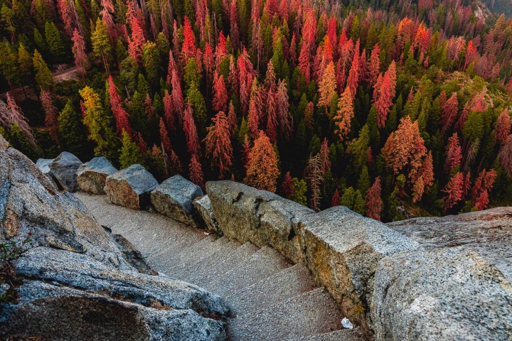 California, North America, Sequoia National Park, Travel, United States, Yosemite National Park, AGP, Alex G Perez, www.AGPfoto.com