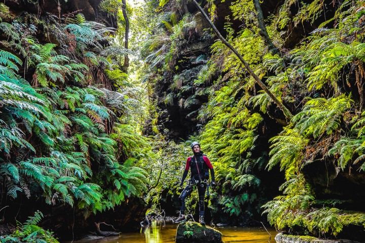 Abseiling, Australia, Blue Mountains, Canyoning, Travel