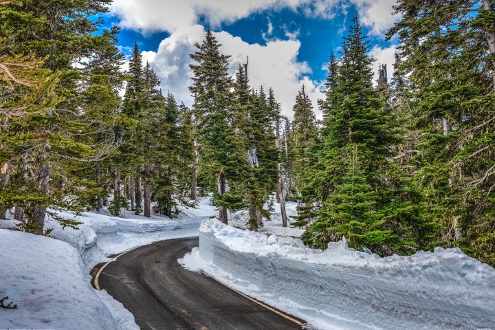 AGP Favorite, North America, Olympic National Park, Seattle, Snow Covered, Travel, Washington