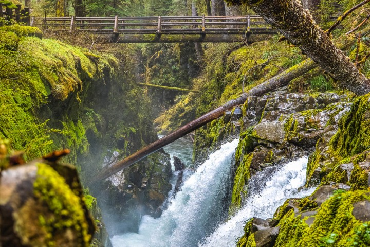 Hoh Rainforest, North America, Olympic National Park, Seattle, Travel, United States, Washington, Waterfall, AGP, Alex G Perez, www.AGPfoto.com