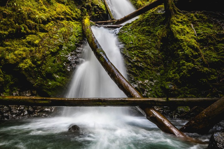 Hoh Rainforest, Long Exposure, North America, Olympic National Park, Seattle, Travel, United States, Washington, Waterfall, AGP, Alex G Perez, www.AGPfoto.com