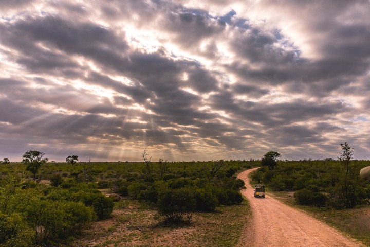 Africa, Kruger National Park, Safari, South Africa, Travel