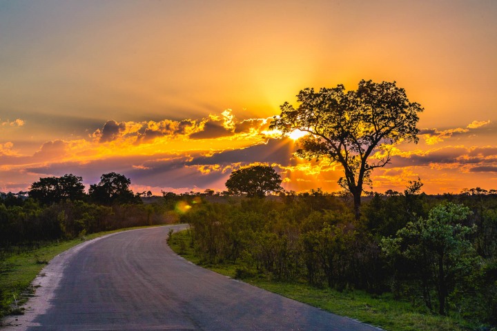Africa, AGP Favorite, Kruger National Park, Safari, South Africa, Sunset, Travel