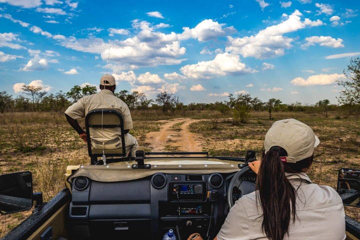 Africa, Kruger National Park, Safari, South Africa, Travel
