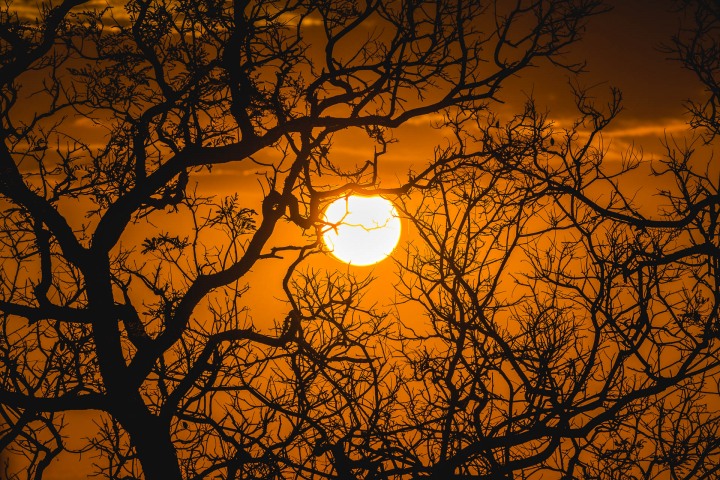 Africa, AGP Favorite, Kruger National Park, Safari, South Africa, Sunset, Travel