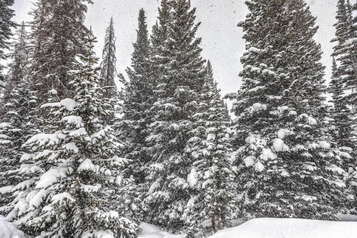 AGP Favorite, Colorado, North America, Rocky Mountains, Snow Covered, Travel, Winter
