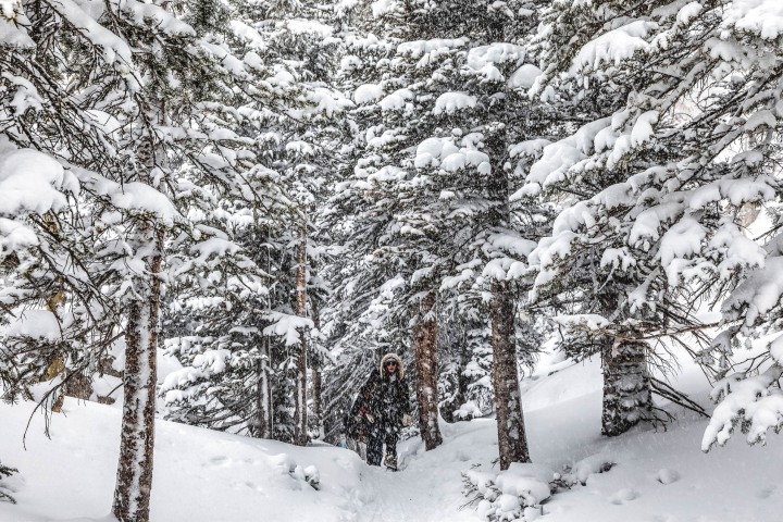 AGP Favorite, Colorado, North America, Rocky Mountains, Snow Covered, Travel, Winter