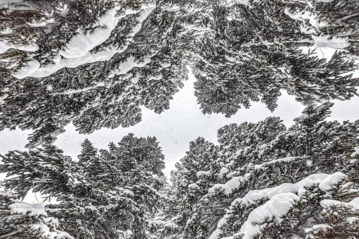 AGP Favorite, Colorado, North America, Rocky Mountains, Snow Covered, Travel, Winter
