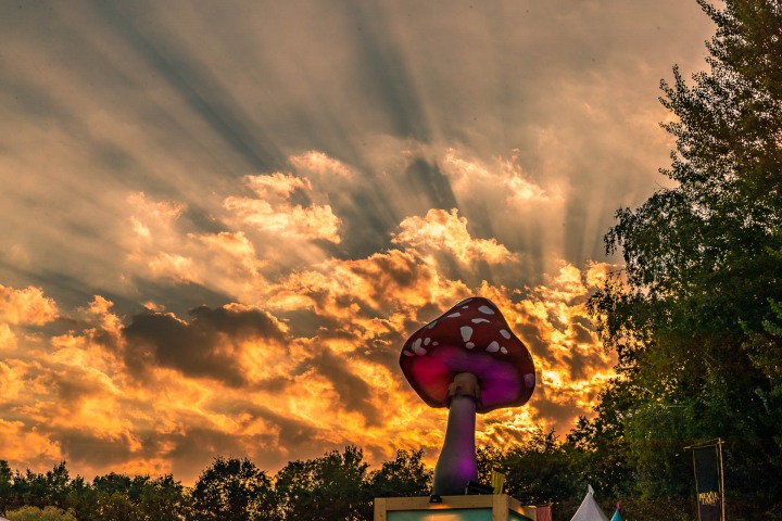 2018_0715_203659-6651_ALIVECOVERAGE-AGP