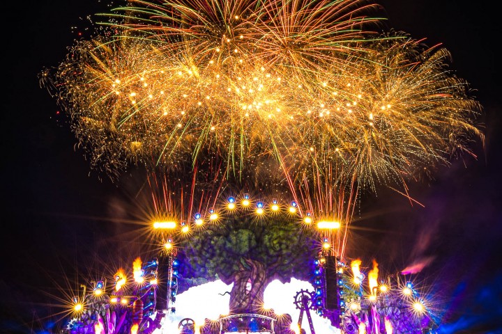 EDM, Music, NeverLand, Pyro