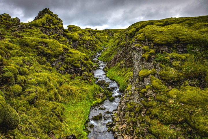 Europe, Fjord, Hólaskjól, Iceland, Travel, volcanic lava field