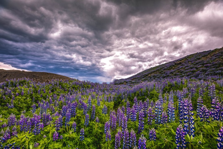 AGP Favorite, Europe, Hvannadalshnúkur, Iceland, Travel, AGP, Alex G Perez, www.AGPfoto.com