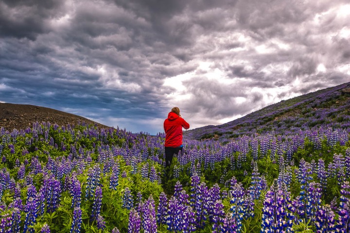 Europe, Hvannadalshnúkur, Iceland, Travel