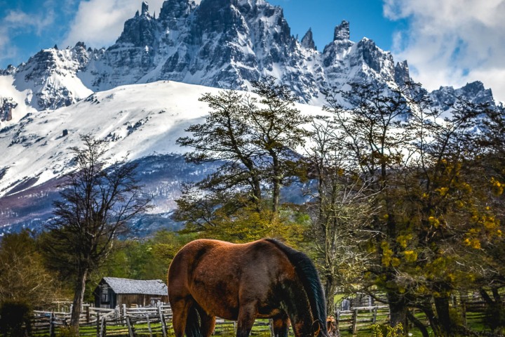AGP Favorite, Chile, Mountains, Parque Nacional Laguna San Rafael, Patagonia, Snow Covered, South America, Travel