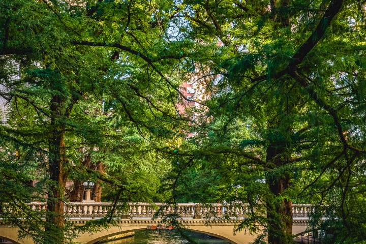 North America, River Walk, San Antonio, Texas, Travel, United States