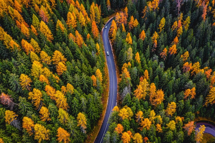 AGP Favorite, Autumn, Dolomites, Europe, Fall Colors, Italy, Seis am Schlern, Siusi, South Tyrol, Travel