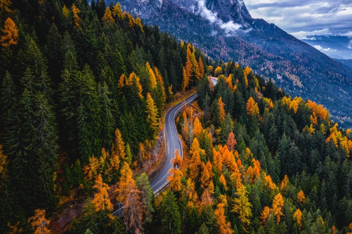 AGP Favorite, Autumn, Dolomites, Europe, Fall Colors, Italy, Seis am Schlern, Siusi, South Tyrol, Travel