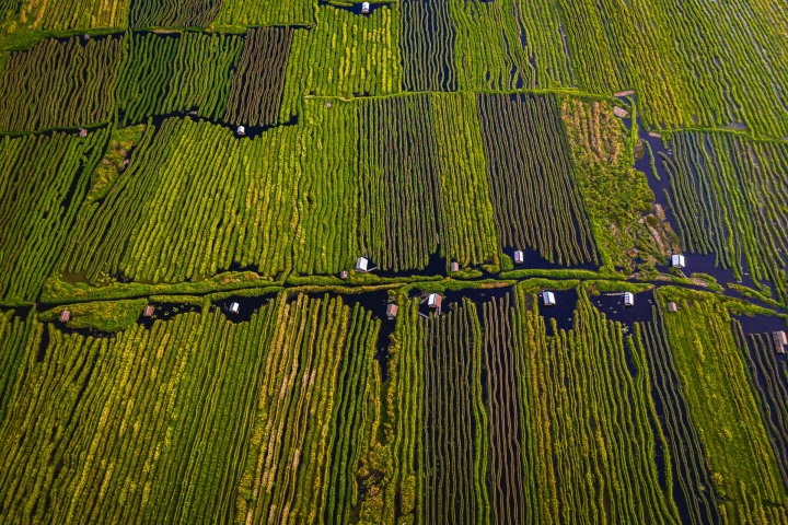 Aerial Photography, AGP Favorite, Asia, Burma, Floating Garden, Inle Lake, Myanmar, Travel, AGP, Alex G Perez, www.AGPfoto.com