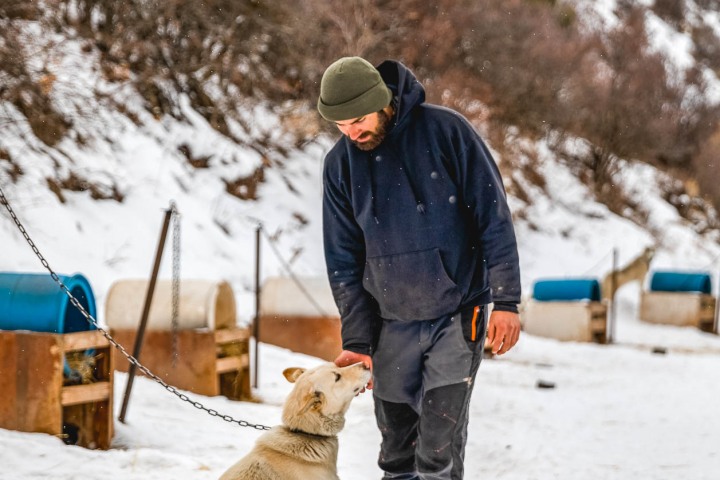 AGP Favorite, Dog Sledding, North America, Park City, Snow Covered, Travel, United States, Utah