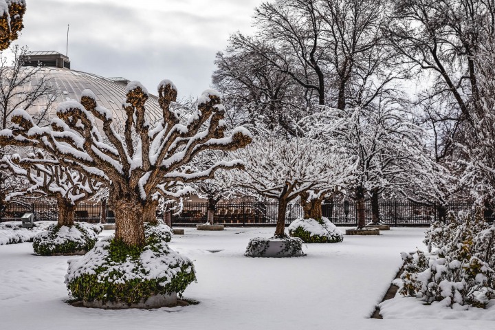 AGP Favorite, North America, Park City, Salt Lake City, Snow Covered, Temple Square, Travel, United States, Utah