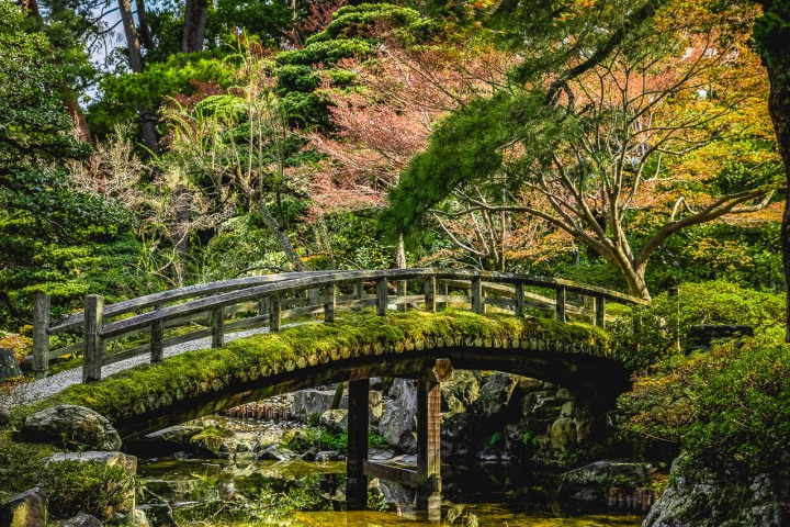 AGP, AGP Favorite, Alex G Perez, Asia, Japan, Kyoto, Landscape Photography, Sentō Imperial Palace, Travel, www.AGPfoto.com