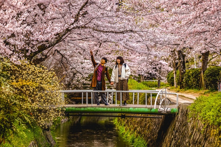 AGP, AGP Favorite, Alex G Perez, Asia, Cherry Blossoms, Japan, Kyoto, Philosopher's Path, Sakura, Spring, Travel, www.AGPfoto.com