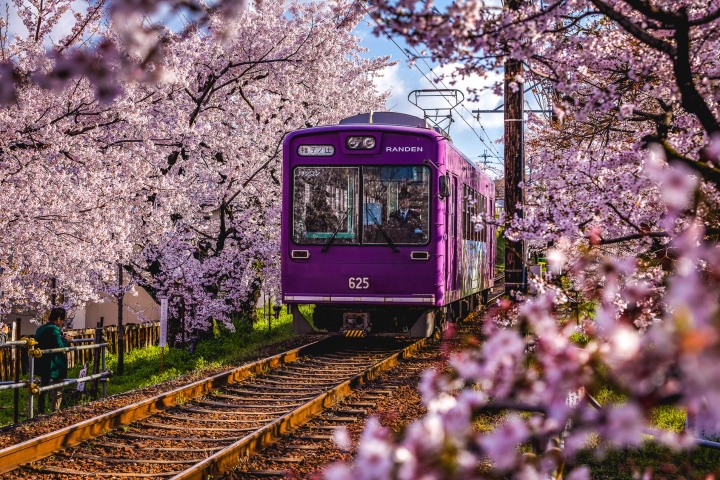 AGP, AGP Favorite, Alex G Perez, Asia, Cherry Blossoms, Japan, Kyoto, Sakura, Spring, Train, Travel, www.AGPfoto.com