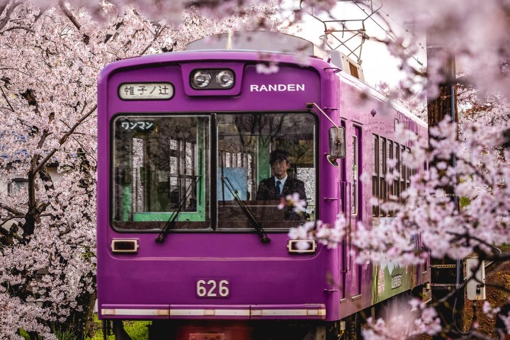 AGP, AGP Favorite, Alex G Perez, Asia, Cherry Blossoms, Japan, Kyoto, Sakura, Spring, Train, Travel, www.AGPfoto.com