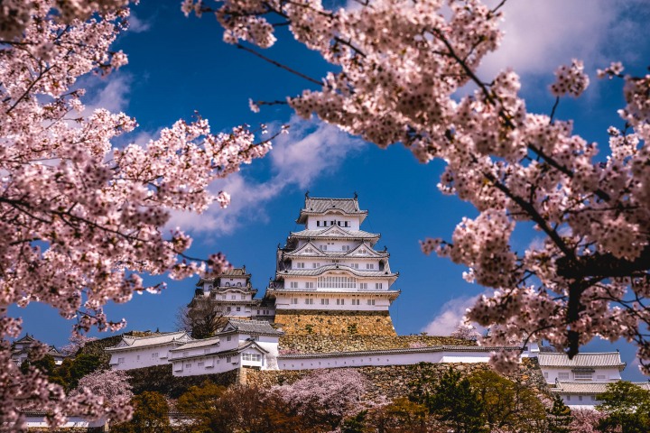 AGP, AGP Favorite, Alex G Perez, Asia, Cherry Blossoms, Himeji, Himeji Castle, Japan, Landscape Photography, Sakura, Spring, Temple, Travel, www.AGPfoto.com