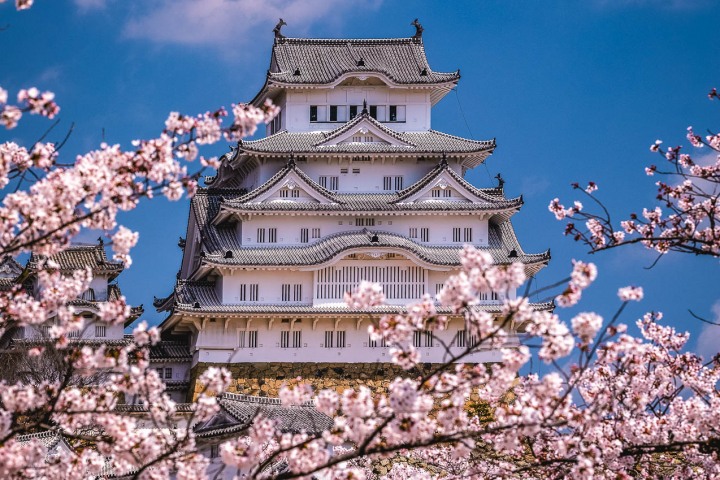 AGP, AGP Favorite, Alex G Perez, Asia, Cherry Blossoms, Himeji, Himeji Castle, Japan, Landscape Photography, Sakura, Spring, Temple, Travel, www.AGPfoto.com