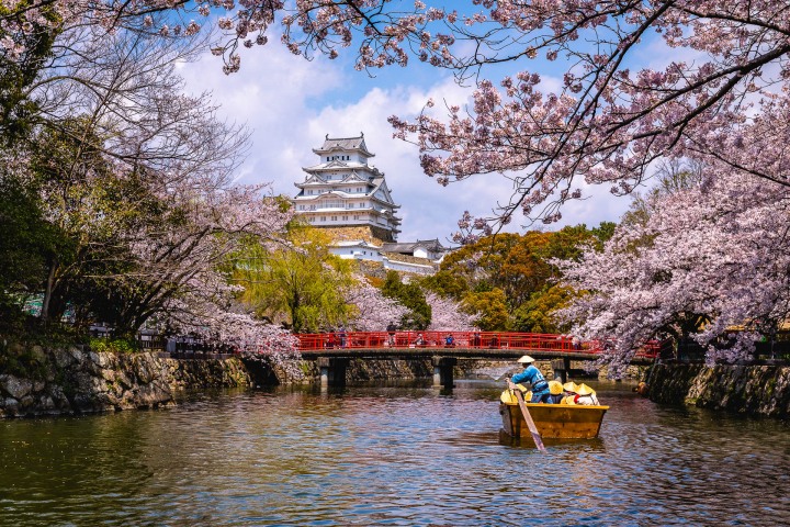 AGP, AGP Favorite, Alex G Perez, Asia, Cherry Blossoms, Himeji, Himeji Castle, Japan, Sakura, Spring, Temple, Travel, www.AGPfoto.com