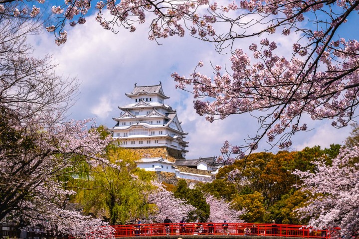 AGP, AGP Favorite, Alex G Perez, Asia, Cherry Blossoms, Himeji, Himeji Castle, Japan, Sakura, Spring, Temple, Travel, www.AGPfoto.com