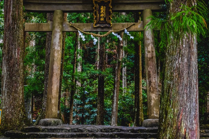 AGP, AGP Favorite, Alex G Perez, Asia, Forest, Hirou-jinja, Japan, Landscape Photography, Nachikatsuura, Nachisan, Nature, Travel, www.AGPfoto.com