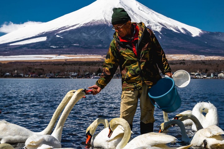AGP, AGP Favorite, Alex G Perez, Asia, Fujinomiya, Japan, Lake Yamanak, Mount Fuji, Mt Fuji, Swan, Travel, www.AGPfoto.com
