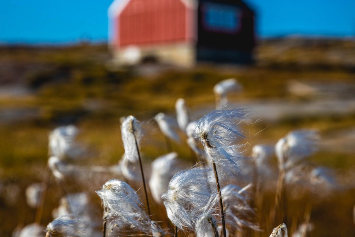 AGP, AGP Favorite, Alex G Perez, Arctic Circle, Fishing Village, Greenland, Ilulissat, Landscape Photography, North America, Oqaatsut, Travel, www.AGPfoto.com