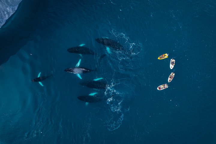 AGP, AGP Favorite, Aerial Photography, Alex G Perez, Arctic Circle, Drone, Greenland, Ilulissat, Landscape Photography, North America, Travel, www.AGPfoto.com