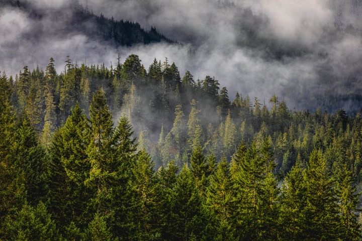2019_1018_120255-6951_AGP_HDR