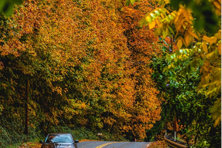 2019_1018_154455-7427_AGP_HDR-Edit