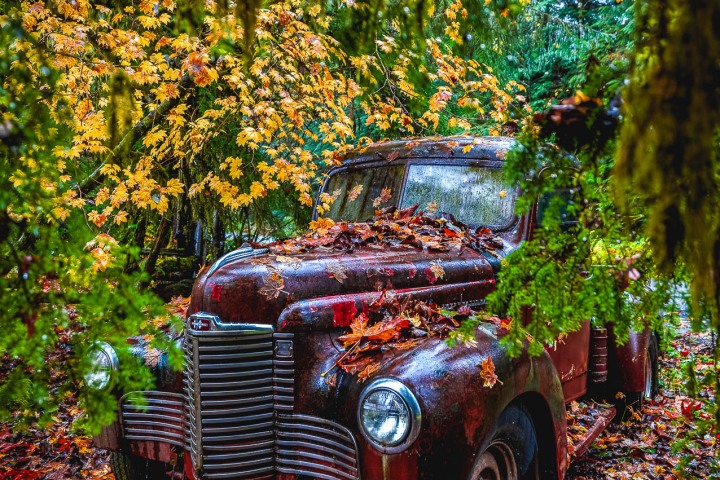2019_1019_153953-8399_ALIVECOVERAGE_HDR