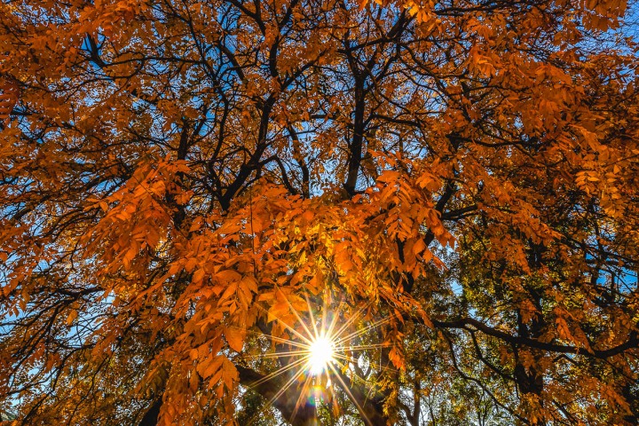 2019_1027_091038-9079_AGP_HDR