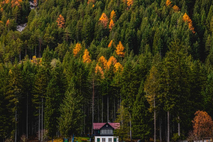 2019_1031_104515-1214_AGP_HDR