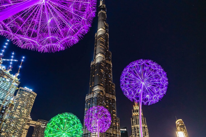 2019_1114_105423-7030_AGP