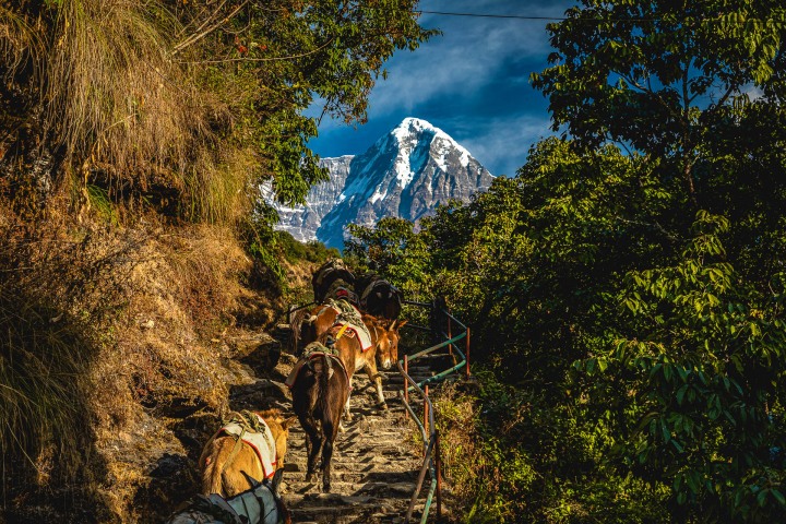 2019_1204_084733-5946_AGP_HDR