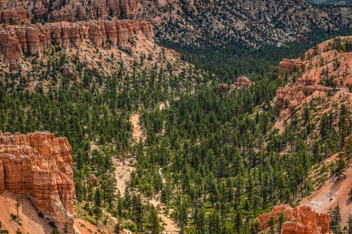 2020_0605_125037-2124_AGP_HDR