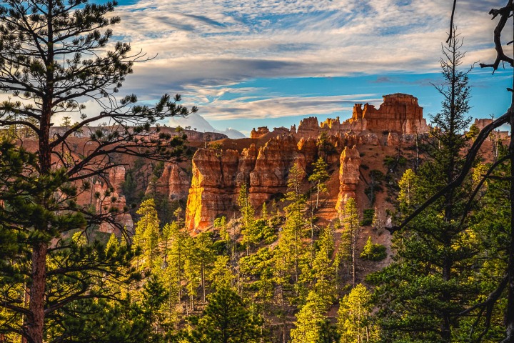2020_0606_075645-3028_AGP_HDR