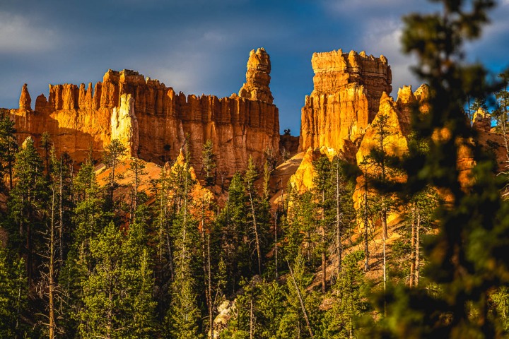 2020_0606_081232-3091_AGP_HDR
