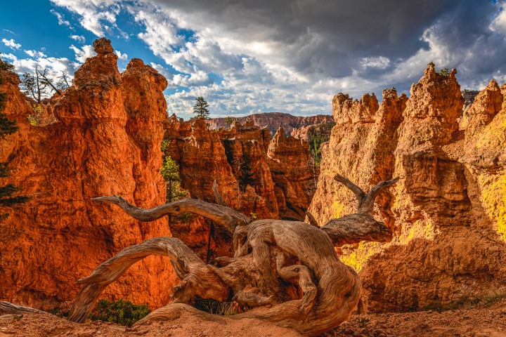 2020_0606_085124-3232_AGP_HDR