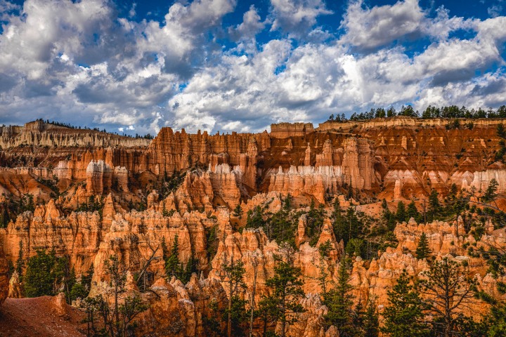 2020_0606_090153-3307_AGP_HDR
